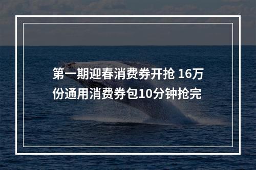 第一期迎春消费券开抢 16万份通用消费券包10分钟抢完