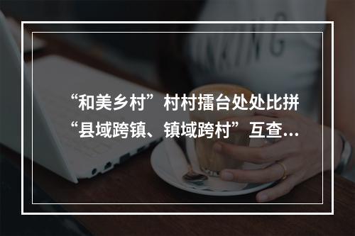 “和美乡村”村村擂台处处比拼 “县域跨镇、镇域跨村”互查互学