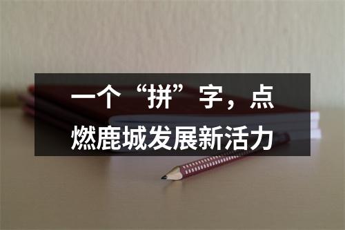 一个“拼”字，点燃鹿城发展新活力