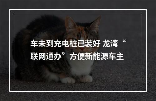 车未到充电桩已装好 龙湾“联网通办”方便新能源车主