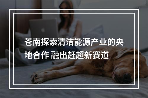 苍南探索清洁能源产业的央地合作 融出赶超新赛道