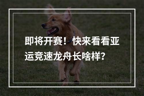 即将开赛！快来看看亚运竞速龙舟长啥样？