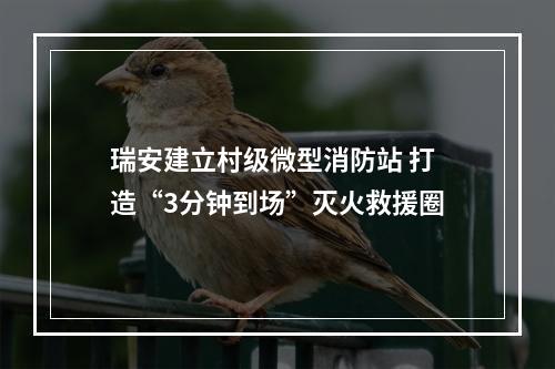 瑞安建立村级微型消防站 打造“3分钟到场”灭火救援圈
