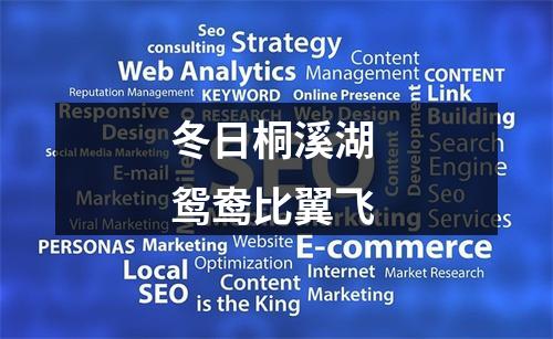 冬日桐溪湖 鸳鸯比翼飞