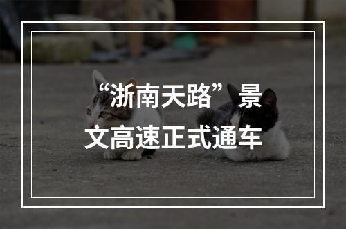 “浙南天路”景文高速正式通车