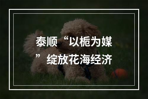 泰顺“以栀为媒”绽放花海经济