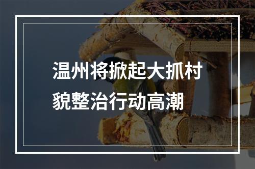 温州将掀起大抓村貌整治行动高潮