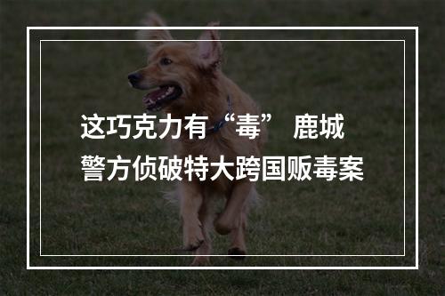 这巧克力有“毒” 鹿城警方侦破特大跨国贩毒案