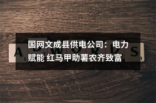 国网文成县供电公司：电力赋能 红马甲助薯农齐致富