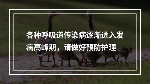 各种呼吸道传染病逐渐进入发病高峰期，请做好预防护理