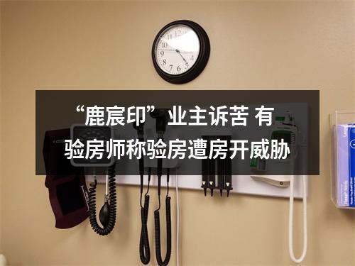 “鹿宸印”业主诉苦 有验房师称验房遭房开威胁