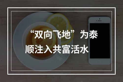 “双向飞地”为泰顺注入共富活水