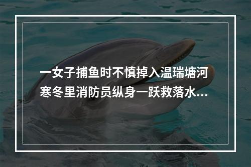 一女子捕鱼时不慎掉入温瑞塘河 寒冬里消防员纵身一跃救落水者