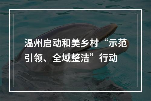 温州启动和美乡村“示范引领、全域整洁”行动