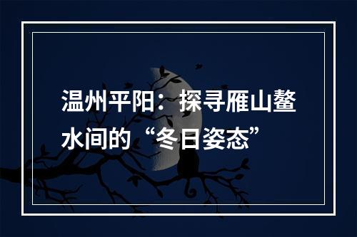 温州平阳：探寻雁山鳌水间的“冬日姿态”