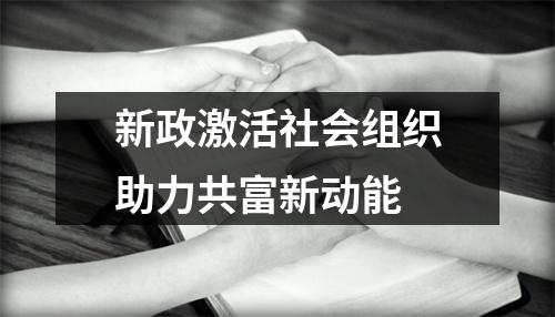 新政激活社会组织助力共富新动能