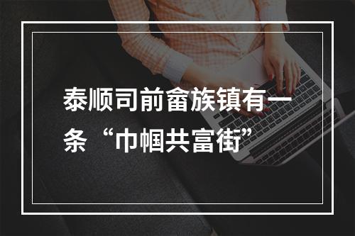 泰顺司前畲族镇有一条“巾帼共富街”