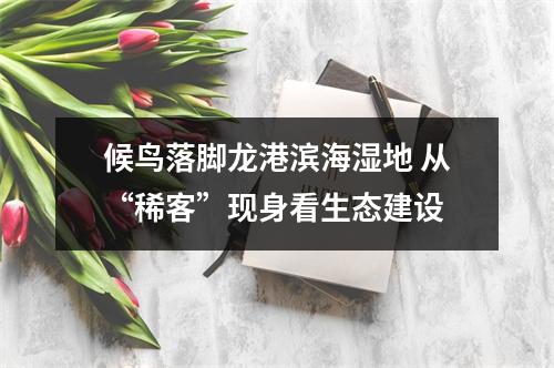 候鸟落脚龙港滨海湿地 从“稀客”现身看生态建设