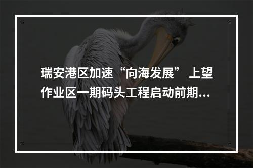 瑞安港区加速“向海发展” 上望作业区一期码头工程启动前期研究
