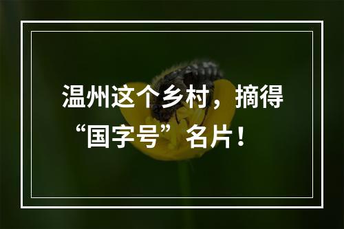 温州这个乡村，摘得“国字号”名片！