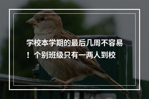 学校本学期的最后几周不容易！个别班级只有一两人到校