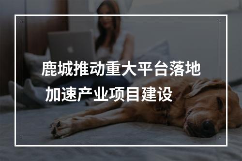 鹿城推动重大平台落地 加速产业项目建设