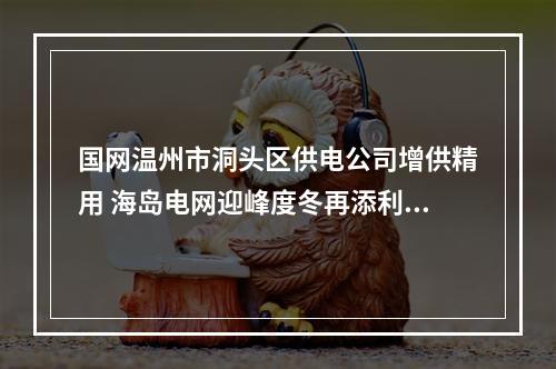 国网温州市洞头区供电公司增供精用 海岛电网迎峰度冬再添利器