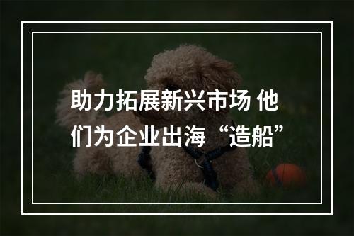 助力拓展新兴市场 他们为企业出海“造船”