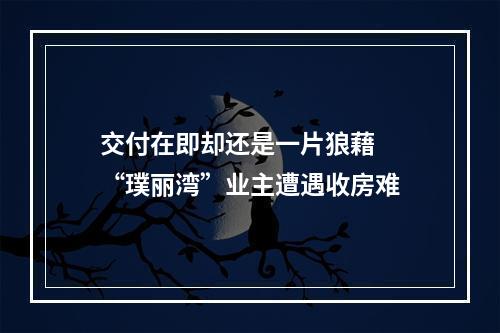 交付在即却还是一片狼藉  “璞丽湾”业主遭遇收房难