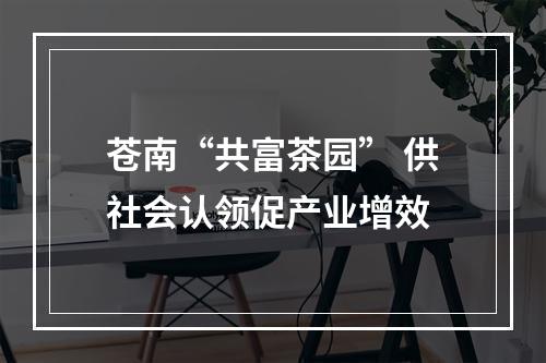 苍南“共富茶园” 供社会认领促产业增效