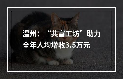 温州：“共富工坊”助力全年人均增收3.5万元