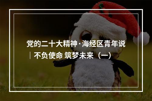 党的二十大精神·海经区青年说｜不负使命 筑梦未来（一）