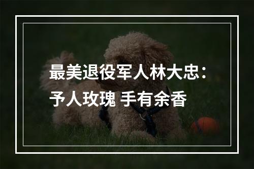 最美退役军人林大忠：予人玫瑰 手有余香