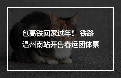 包高铁回家过年！ 铁路温州南站开售春运团体票