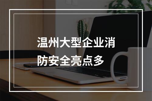 温州大型企业消防安全亮点多