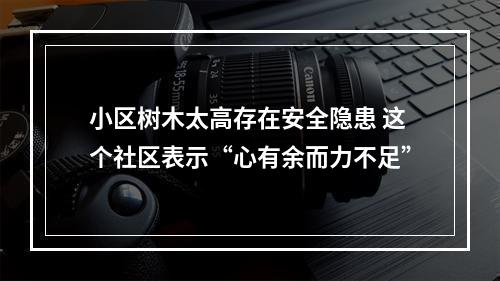 小区树木太高存在安全隐患 这个社区表示“心有余而力不足”