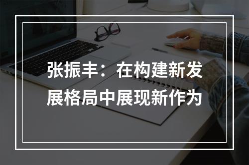 张振丰：在构建新发展格局中展现新作为