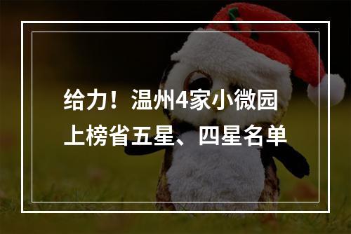 给力！温州4家小微园上榜省五星、四星名单