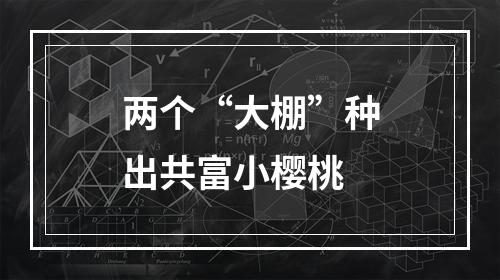两个“大棚”种出共富小樱桃