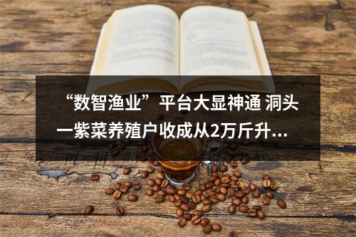 “数智渔业”平台大显神通 洞头一紫菜养殖户收成从2万斤升至15万斤