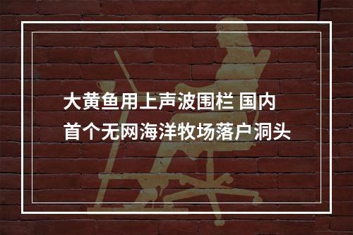 大黄鱼用上声波围栏 国内首个无网海洋牧场落户洞头