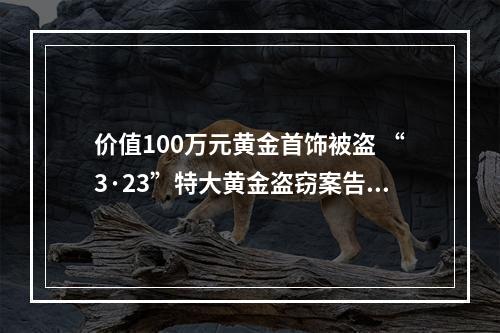 价值100万元黄金首饰被盗 “3·23”特大黄金盗窃案告破
