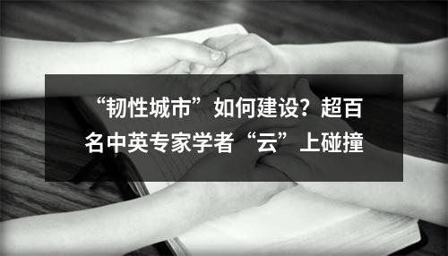 “韧性城市”如何建设？超百名中英专家学者“云”上碰撞