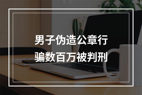 男子伪造公章行骗数百万被判刑