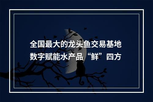 全国最大的龙头鱼交易基地 数字赋能水产品“鲜”四方