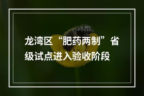 龙湾区“肥药两制”省级试点进入验收阶段