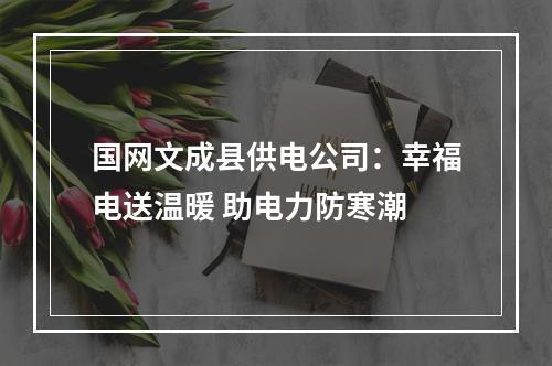 国网文成县供电公司：幸福电送温暖 助电力防寒潮