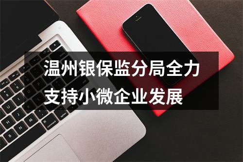 温州银保监分局全力支持小微企业发展