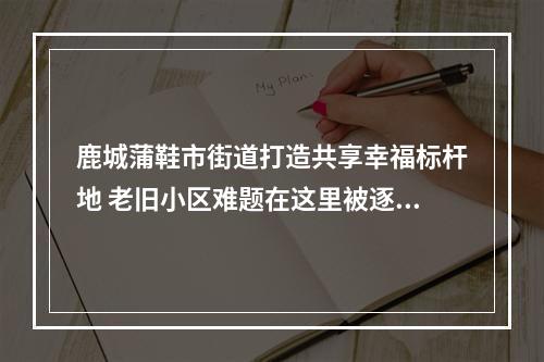 鹿城蒲鞋市街道打造共享幸福标杆地 老旧小区难题在这里被逐一破解