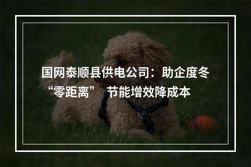 国网泰顺县供电公司：助企度冬“零距离”  节能增效降成本